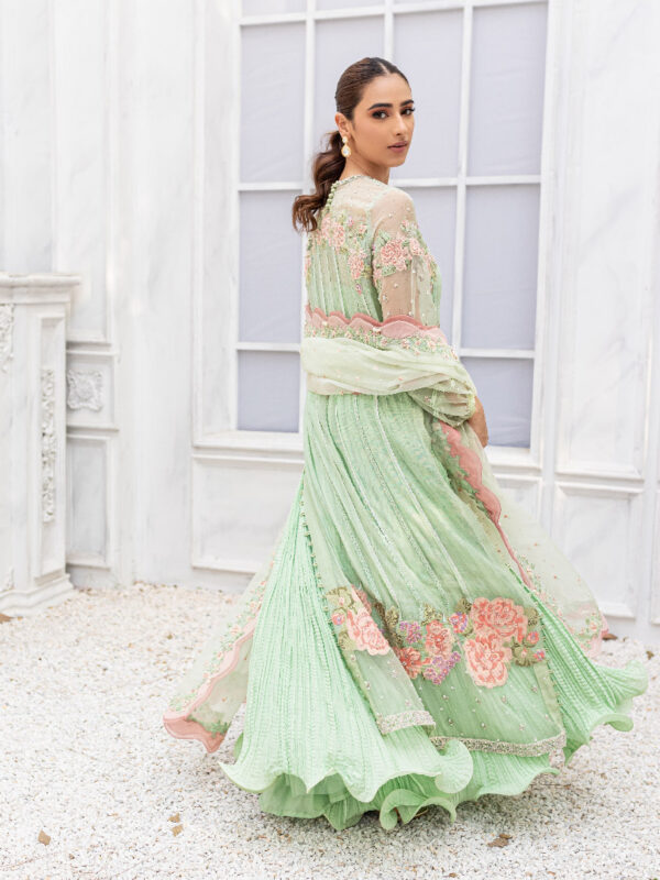 Mint & Rose Embroidered Cotton Net Organza Sharara (3-Piece) - Image 3