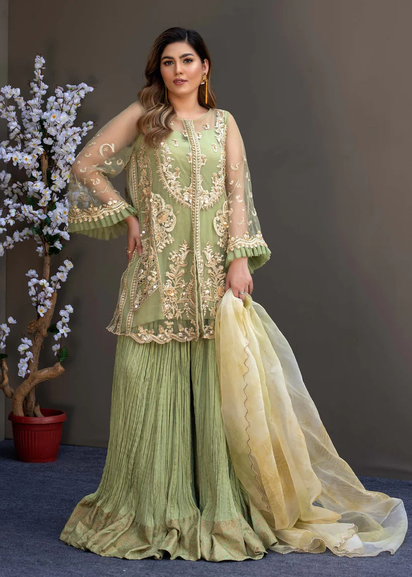 Pakistani Pistachio Green Embroidered Net Sharara (3-Piece) - Image 1