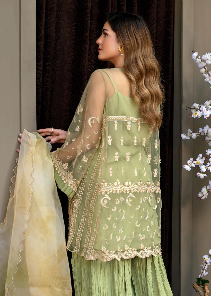 Pakistani Pistachio Green Embroidered Net Sharara (3-Piece) - Image 3