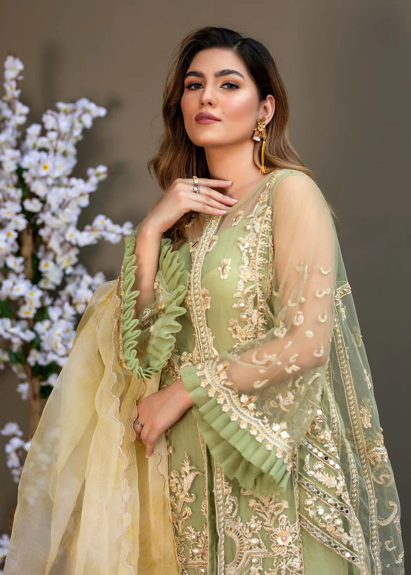 Pakistani Pistachio Green Embroidered Net Sharara (3-Piece) - Image 4