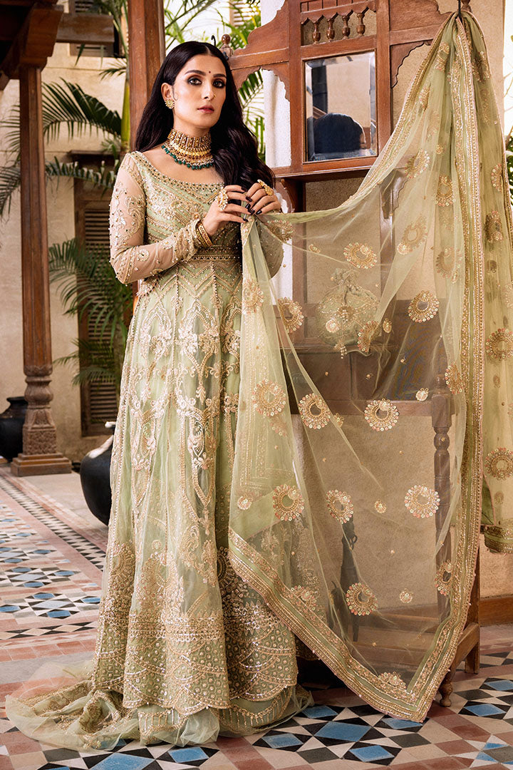 Pakistani Pastel Sage Embroidered Net Sharara Set (3-Piece) - Image 4