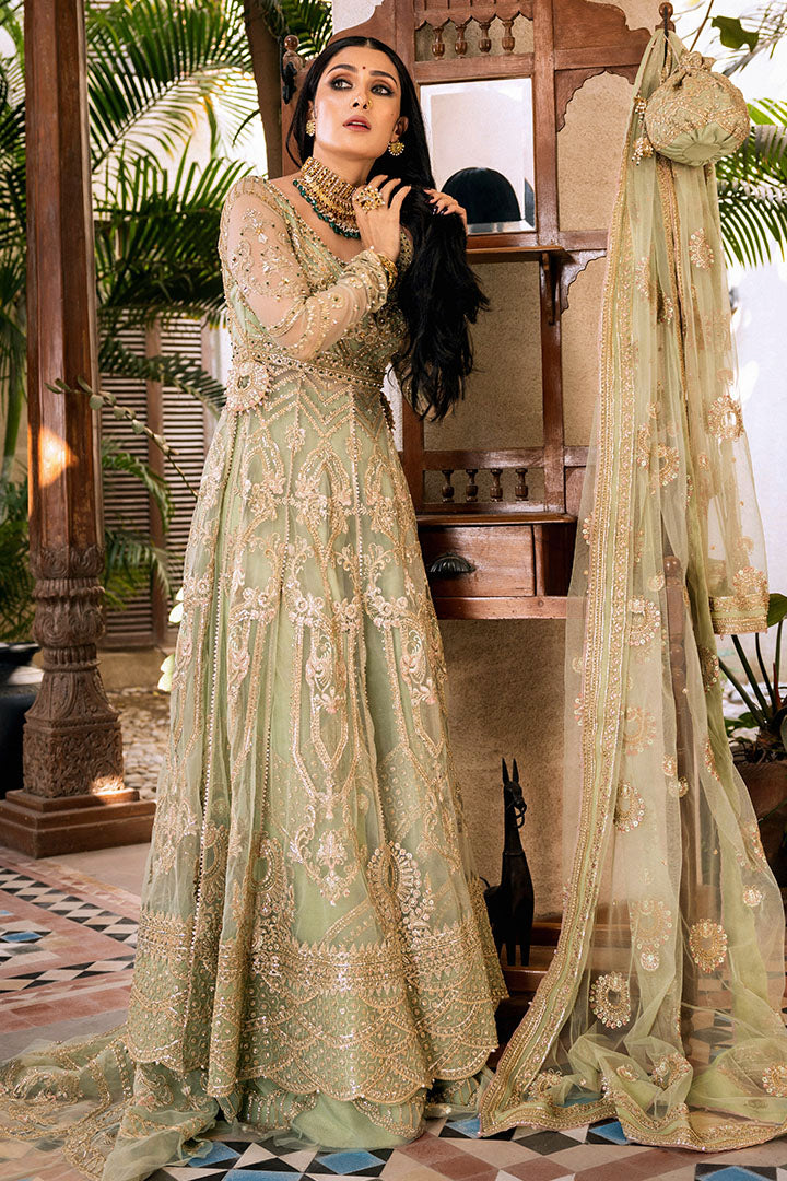 Pakistani Pastel Sage Embroidered Net Sharara Set (3-Piece) - Image 5