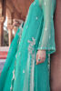 Pakistani Green Handworked Kurta with Crushed Sharara (3-Piece) - Image 5