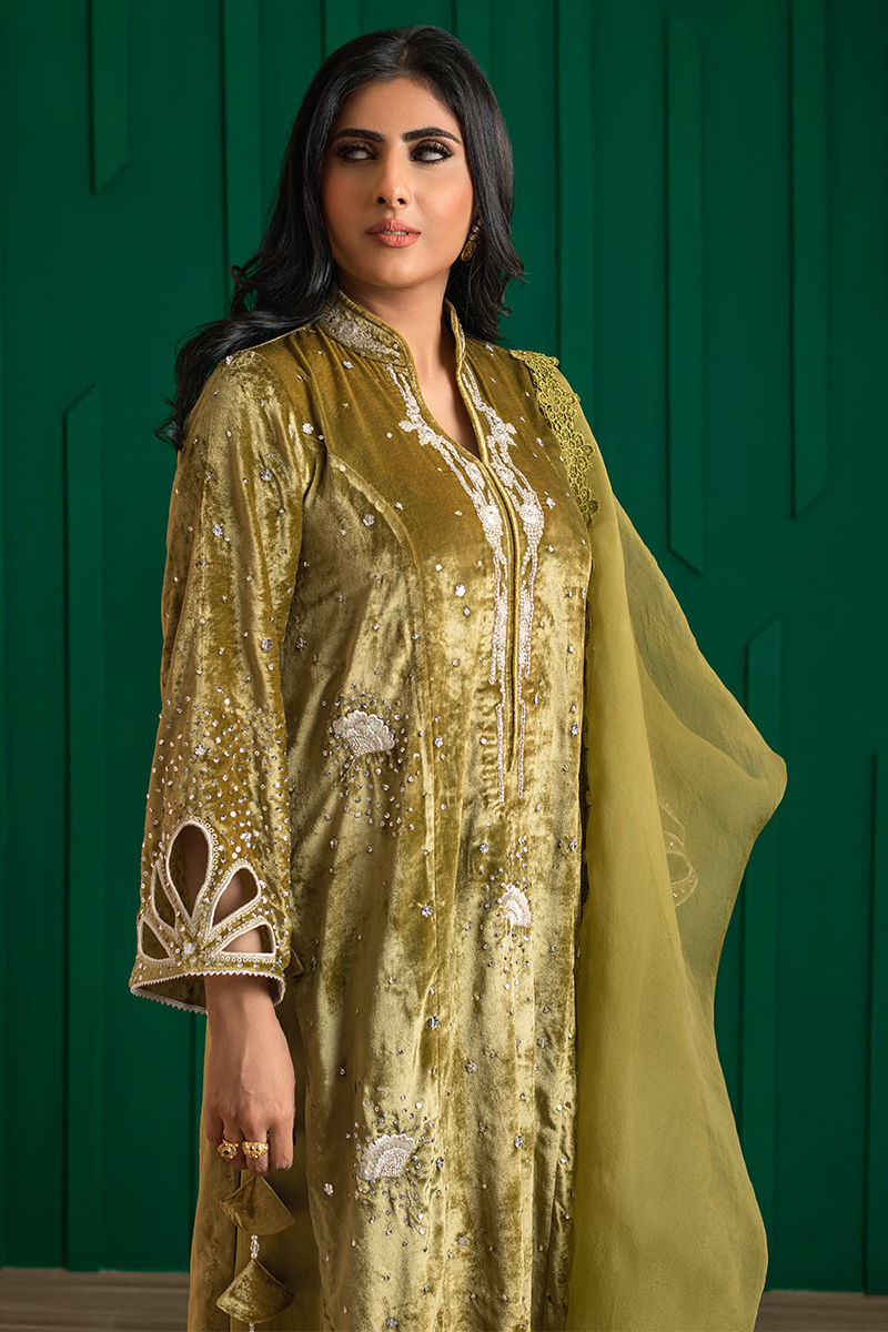 Olive Green Embroidered Velvet & Organza Sharara (3-Piece) - Image 1