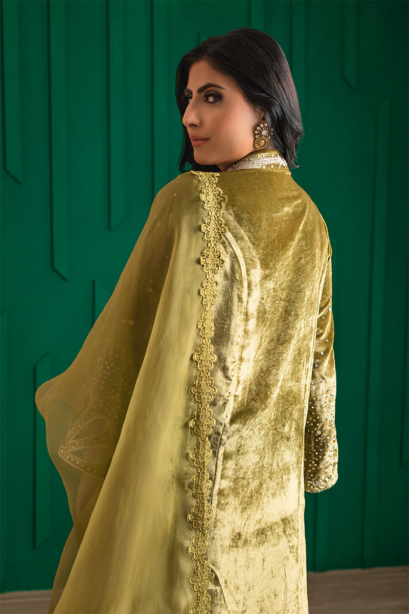 Olive Green Embroidered Velvet & Organza Sharara (3-Piece) - Image 2