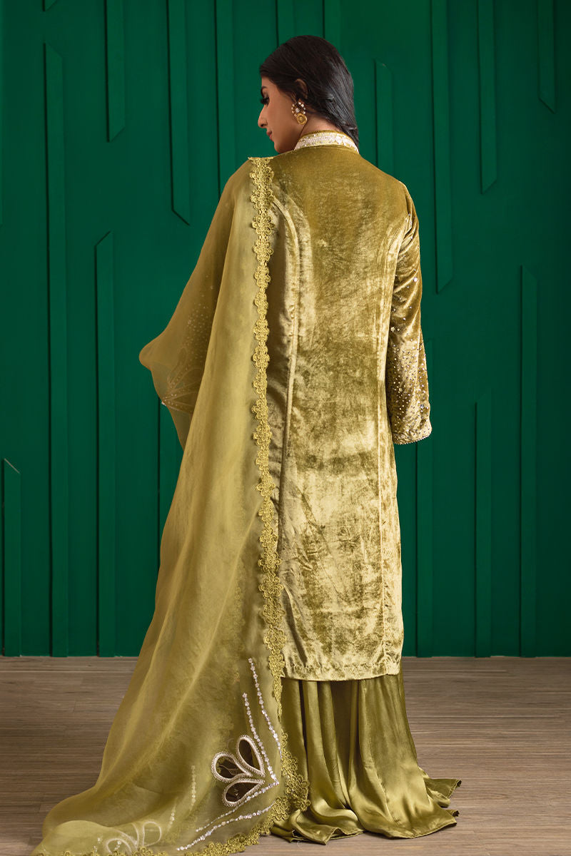 Olive Green Embroidered Velvet & Organza Sharara (3-Piece) - Image 3