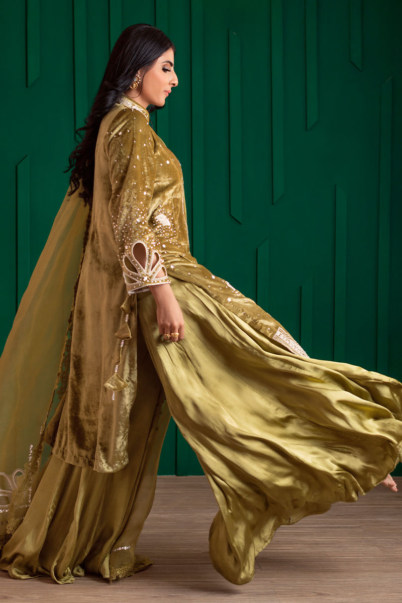 Olive Green Embroidered Velvet & Organza Sharara (3-Piece) - Image 5