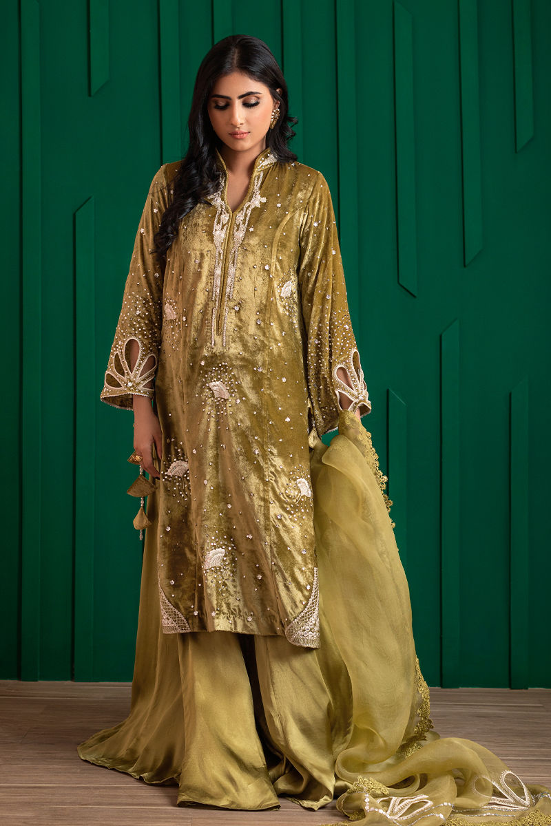 Olive Green Embroidered Velvet & Organza Sharara (3-Piece) - Image 6