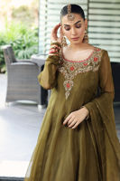 Mehndi Green Embroidered Organza Pishwas Dress (3-Piece) - Image 3