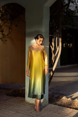 Nude to Green Embellished Chamois Silk Salwar Kameez (2-Piece) - Image 6