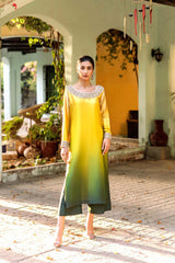 Nude to Green Embellished Chamois Silk Salwar Kameez (2-Piece) - Image 7