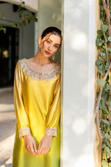 Pakistani Nude-Green Ombré Embellished Chamois Silk Salwar Kameez (2-Piece) - Image 2