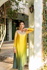 Pakistani Nude-Green Ombré Embellished Chamois Silk Salwar Kameez (2-Piece) - Image 3