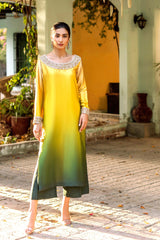 Pakistani Nude-Green Ombré Embellished Chamois Silk Salwar Kameez (2-Piece) - Image 4
