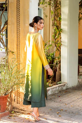 Pakistani Nude-Green Ombré Embellished Chamois Silk Salwar Kameez (2-Piece) - Image 5