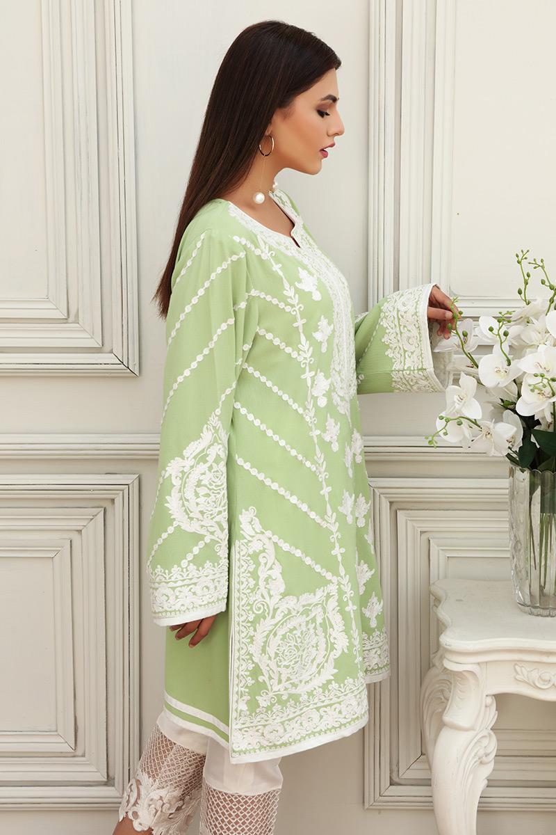 Pakistani Pistachio Green Kashmiri Embroidered Chiffon Salwar Kameez (2-Piece) - Image 4