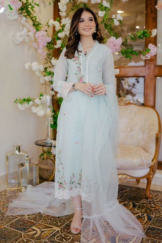 Mint Appliqué Embroidered Cotton Karandi Salwar Kameez (3-Piece) - Image 2