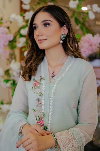 Mint Appliqué Embroidered Cotton Karandi Salwar Kameez (3-Piece) - Image 4