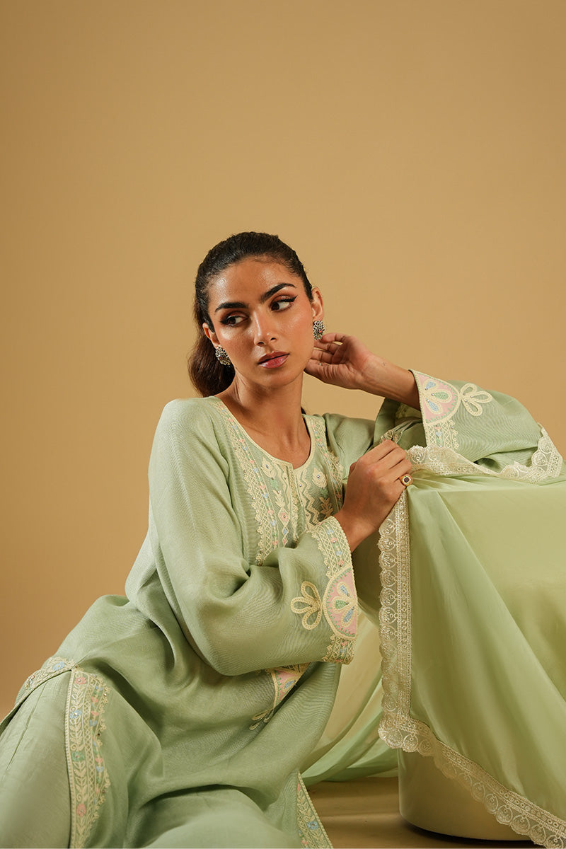 Pakistani Pistachio Aari Embroidered Cotton Net Salwar Kameez (3-Piece) - Image 4