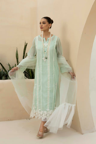 Mint Lace-Panelled Cotton Net Salwar Kameez (3-Piece) - Image 3