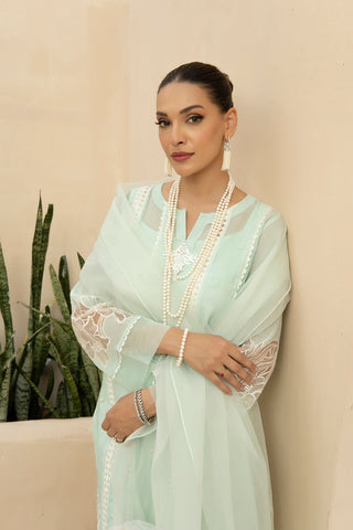 Mint Lace-Panelled Cotton Net Salwar Kameez (3-Piece) - Image 6
