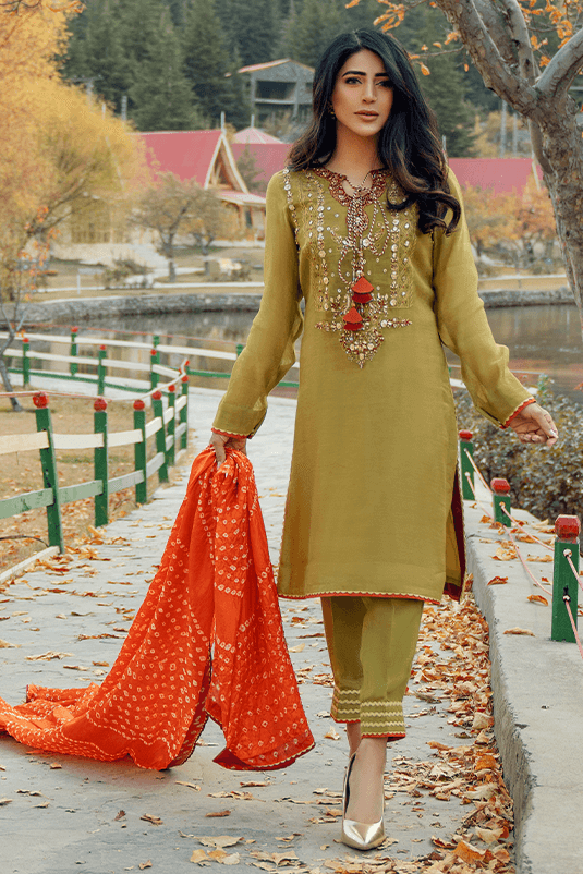 Pakistani Dhaani Green Embroidered Khaadi Net Salwar Kameez (3-Piece) - Image 2