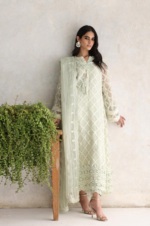 Pakistani Mint 3D Floral Organza Salwar Kameez (3-Piece) - Image 1
