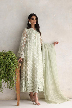 Pakistani Mint 3D Floral Organza Salwar Kameez (3-Piece) - Image 2