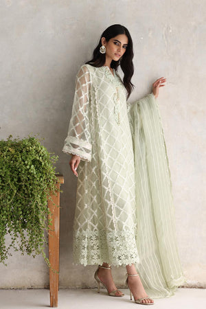 Pakistani Mint 3D Floral Organza Salwar Kameez (3-Piece) - Image 3