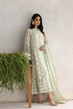 Pakistani Mint 3D Floral Organza Salwar Kameez (3-Piece) - Image 4