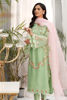 Pistachio Green Embroidered Organza Kurta (3-Piece) - Image 5