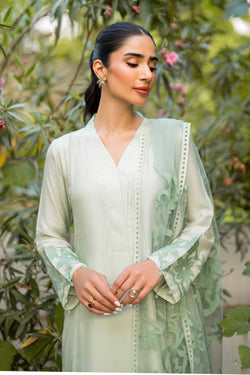 Pakistani Mint Green Appliqué Organza Salwar Kameez (3-Piece) - Image 1