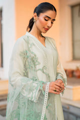 Pakistani Mint Green Appliqué Organza Salwar Kameez (3-Piece) - Image 6