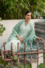 Pakistani Mint Green Appliqué Organza Salwar Kameez (3-Piece) - Image 8