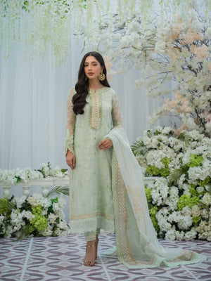 Pakistani Mint Embroidered Organza Salwar Kameez (3-Piece) - Image 2