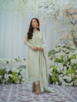 Pakistani Mint Embroidered Organza Salwar Kameez (3-Piece) - Image 3
