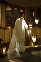 Lime Cutwork Embroidered Organza Salwar Kameez (3-Piece) - Image 4