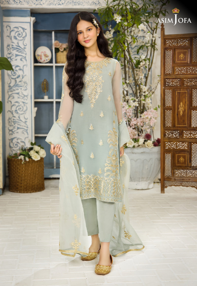 Pakistani Light Sage Green Embroidered Organza 3-Piece Suit - Image 1