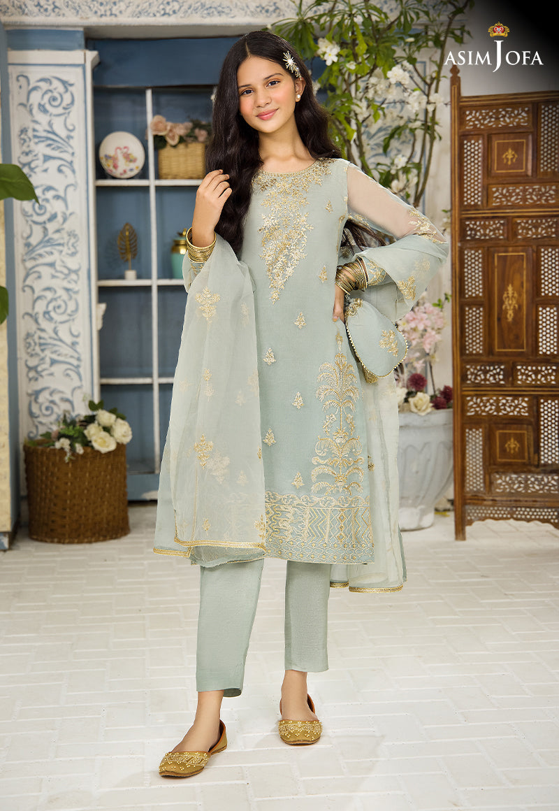 Pakistani Light Sage Green Embroidered Organza 3-Piece Suit - Image 4