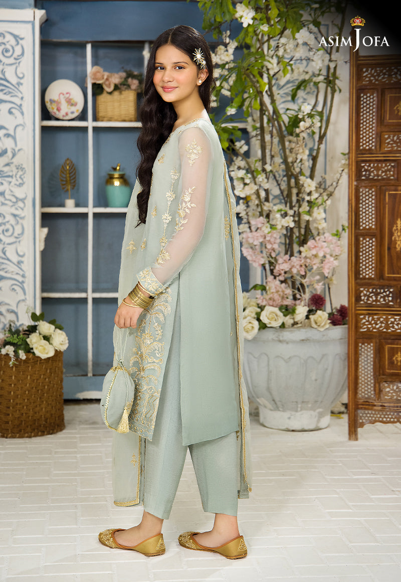 Pakistani Light Sage Green Embroidered Organza 3-Piece Suit - Image 8