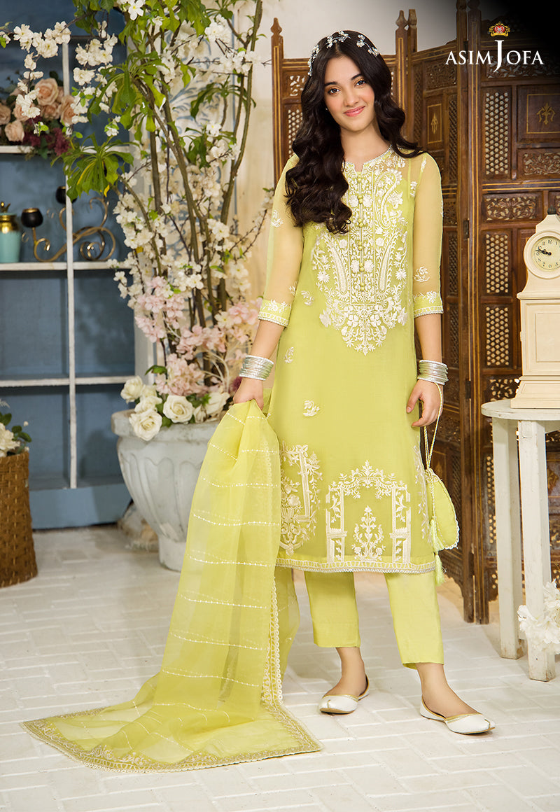Pakistani Peppy Lime Resham Embroidered Organza Salwar Kameez (3-Piece) - Image 1