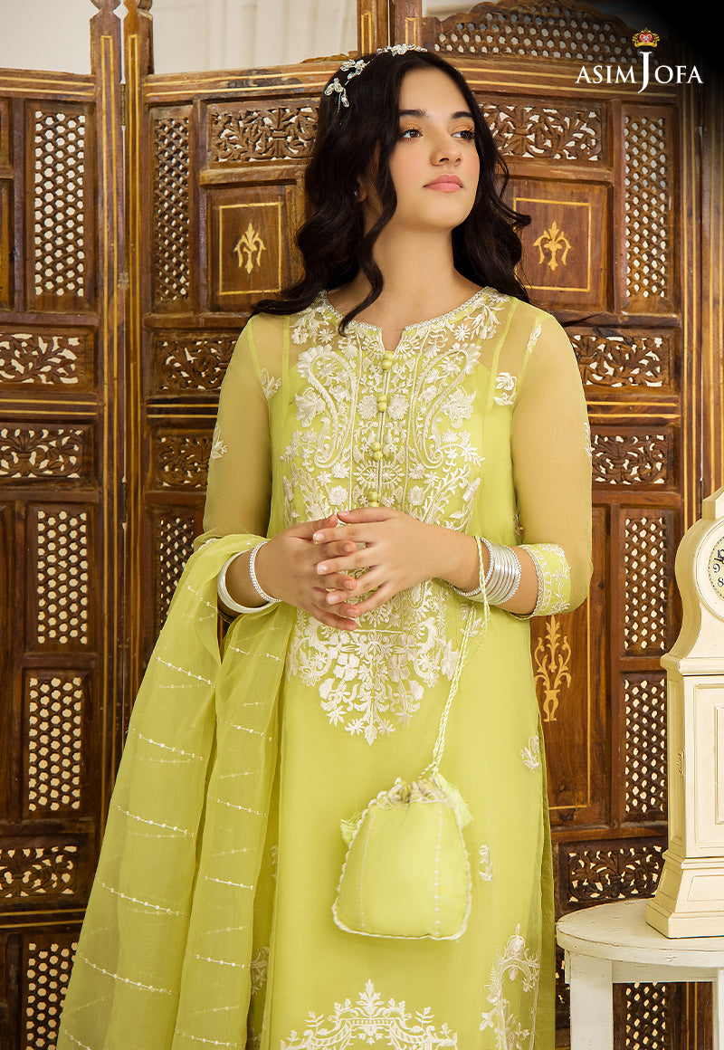 Pakistani Peppy Lime Resham Embroidered Organza Salwar Kameez (3-Piece) - Image 4