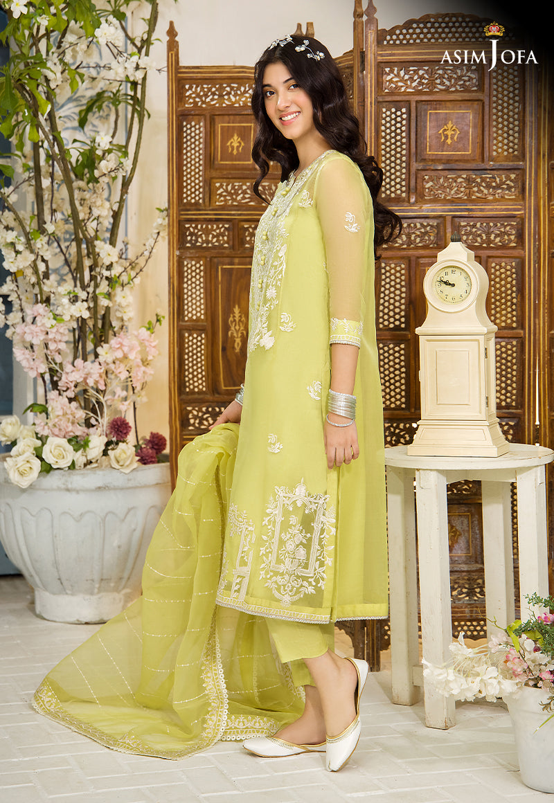 Pakistani Peppy Lime Resham Embroidered Organza Salwar Kameez (3-Piece) - Image 7