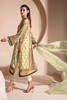 Apple Green Printed Raw Silk Salwar Kameez (3-Piece) - Image 4