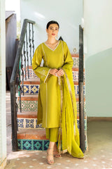 Pakistani Green Naqshi & Swarovski Raw Silk Salwar Kameez (3-Piece) - Image 5