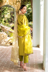 Pakistani Green Naqshi & Swarovski Raw Silk Salwar Kameez (3-Piece) - Image 6