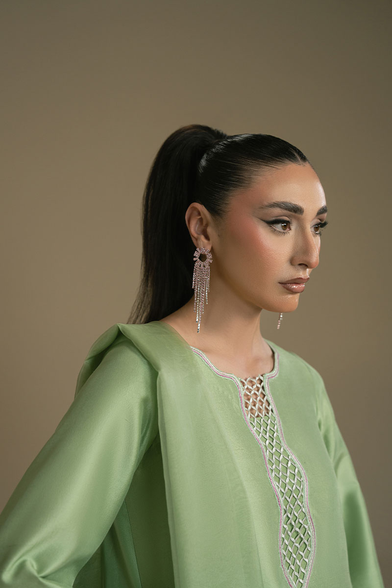 Apple Green Embroidered Silk-Blend Salwar Kameez (2-Piece) - Image 9