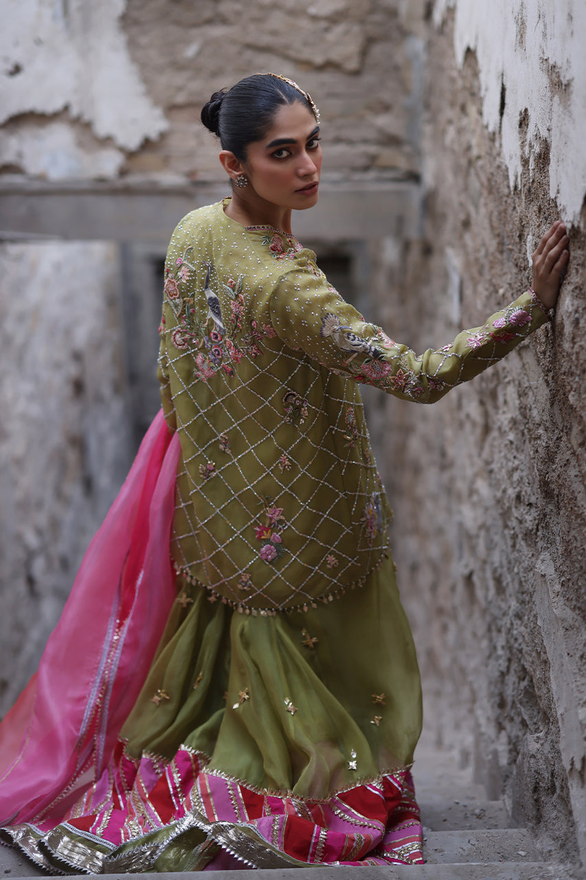 Olive Green Hand-Embroidered Organza Sharara (3-Piece) - Image 3