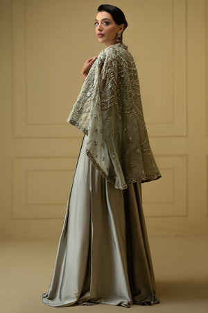 Grey Hand-Embellished Organza Cape with Silk Gown (2-Piece) - Image 6