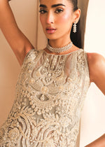 Pakistani Grey Embellished Net Gown (2-Piece) - Image 4